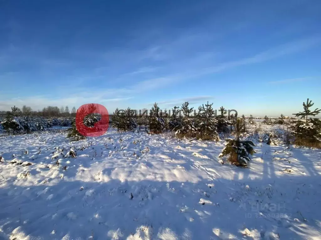 Участок в Тюменская область, Тюменский район, с. Каменка Ирбитская ... - Фото 0