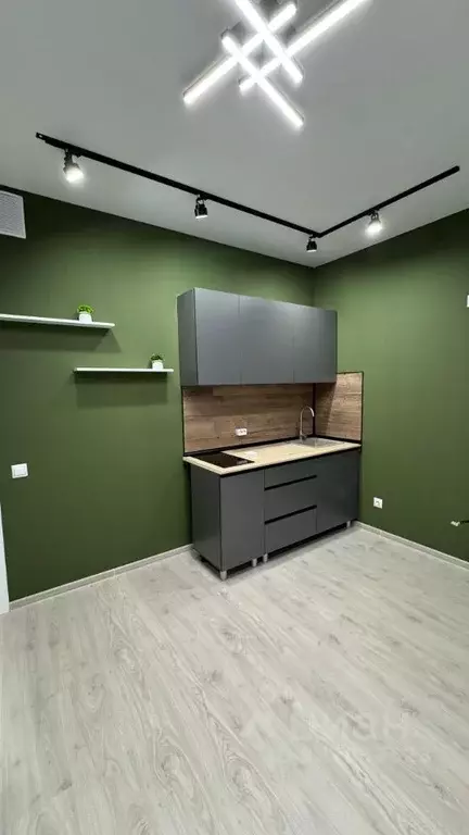 1-к кв. Санкт-Петербург пос. Шушары, ул. Чудовская, 14к1 (34.6 м) - Фото 1