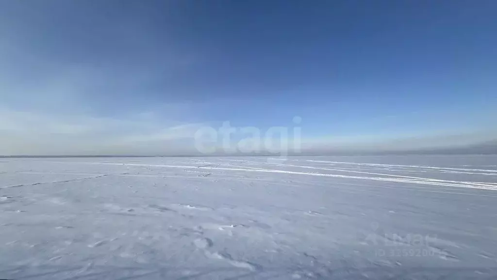 Участок в Нижегородская область, Сокольский муниципальный округ, с. ... - Фото 2