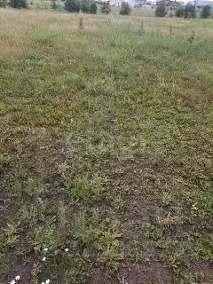Участок в Липецкая область, Липецкий муниципальный округ, с. Сенцово  ... - Фото 2