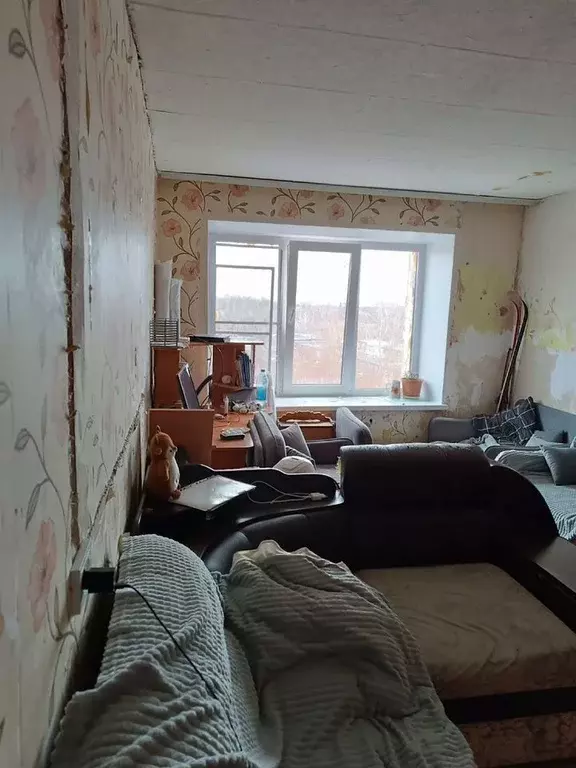 1-к кв. Омская область, Омск ул. Попова, 5 (29.0 м) - Фото 1