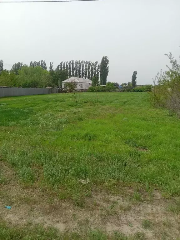 Участок в Волгоградская область, Среднеахтубинский район, Куйбышевское ... - Фото 0