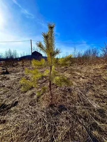 Участок 30 сот. (СНТ, ДНП) - Фото 0