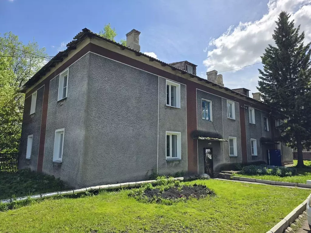 3-к кв. Новосибирская область, Черепаново Партизанская ул., 18 (55.0 ... - Фото 1