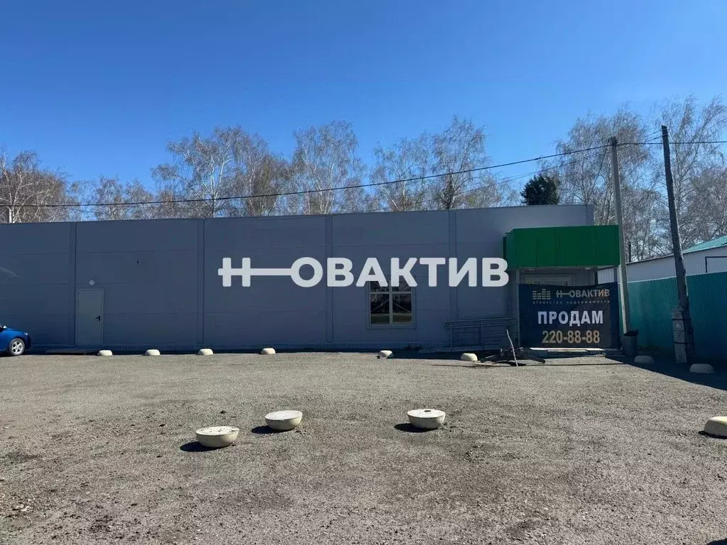 Торговая площадь в Алтайский край, с. Романово ул. Советская, 46 (370 ... - Фото 1