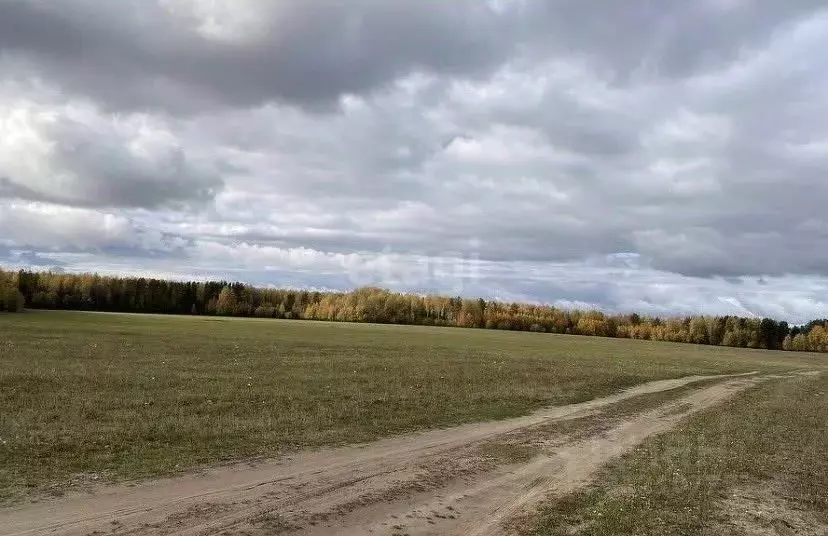 Участок в Пермский край, Соликамский городской округ, с. Тохтуева ул. ... - Фото 0