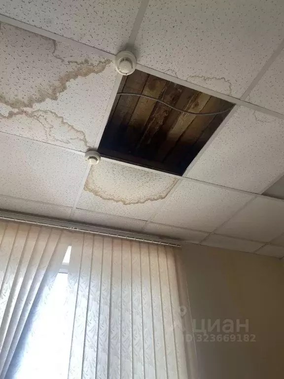 Помещение свободного назначения в Карелия, Кемь ул. Бланки, 12 (49 м) - Фото 2