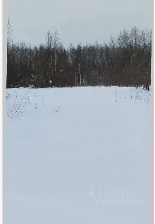 Участок в Пермский край, Пермь Молодежный СНТ, 1 (6.0 сот.) - Фото 1