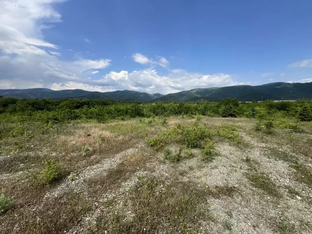 Участок в Краснодарский край, Геленджик городской округ, с. ... - Фото 1