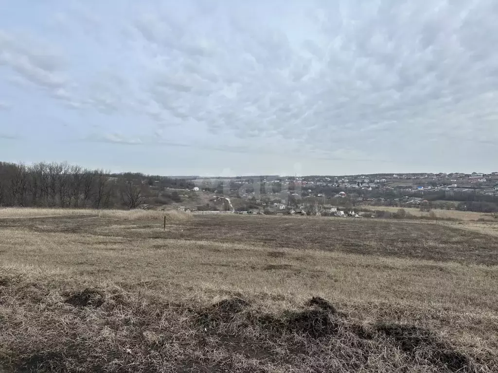 Участок в Белгородская область, Белгородский район, с. Стрелецкое 566 ... - Фото 1
