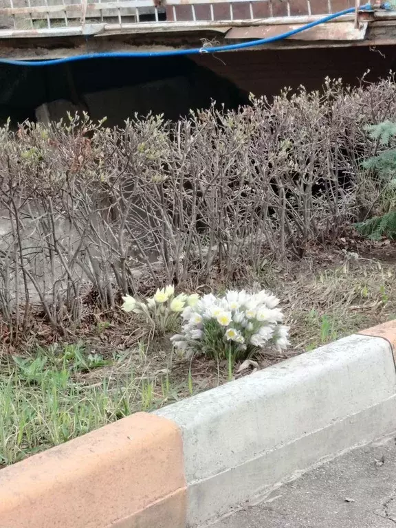 Дом 15 м на участке 6 сот. - Фото 0