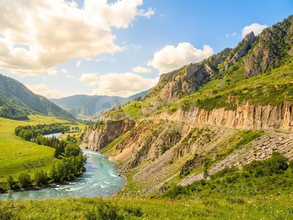 Участок в Алтай, Онгудайский район, с. Иня  (225.0 сот.) - Фото 1
