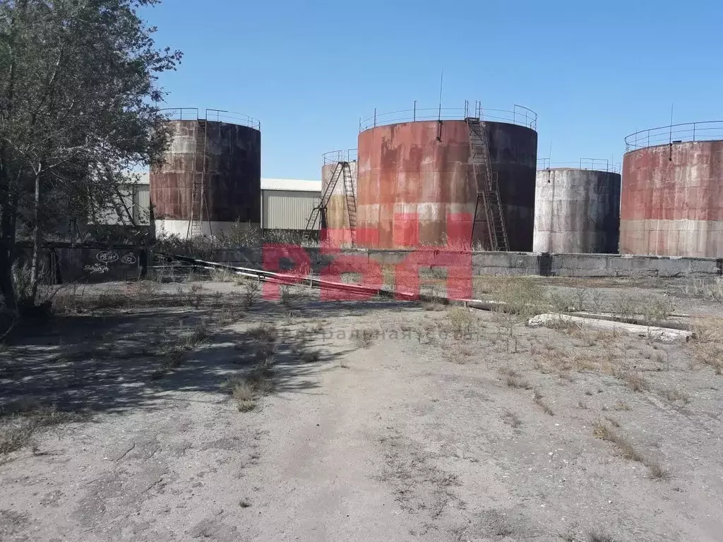 Производственное помещение в Ростовская область, Егорлыкская ст-ца ... - Фото 1