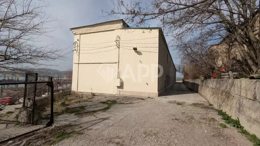 Помещение свободного назначения в Краснодарский край, Новороссийск ул. ... - Фото 1