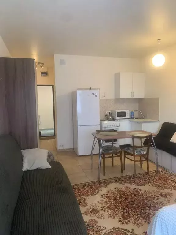 Студия Московская область, Лосино-Петровский ул. Пушкина, 8 (30.0 м) - Фото 2