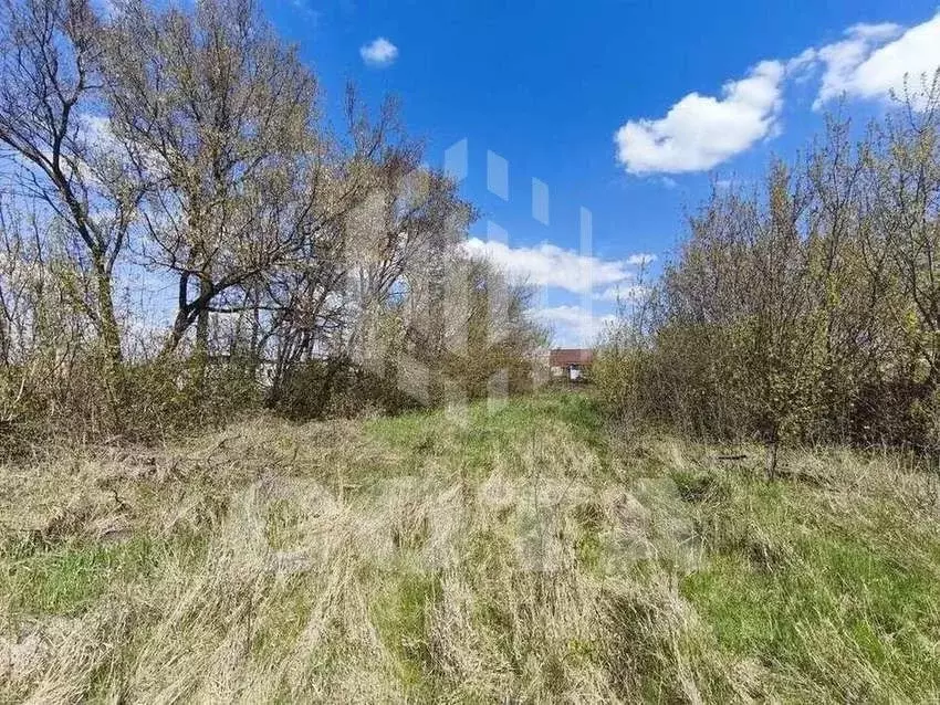 Участок в Воронежская область, с. Новая Усмань, Пчелка мкр  (9.4 сот.) - Фото 1