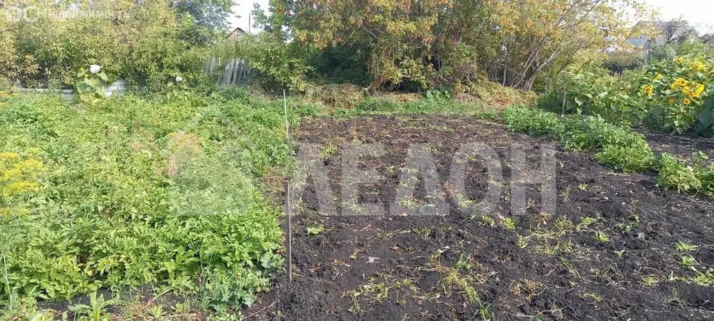 Участок в Омская область, рабочий посёлок Любинский, Южная улица, 49 ... - Фото 1