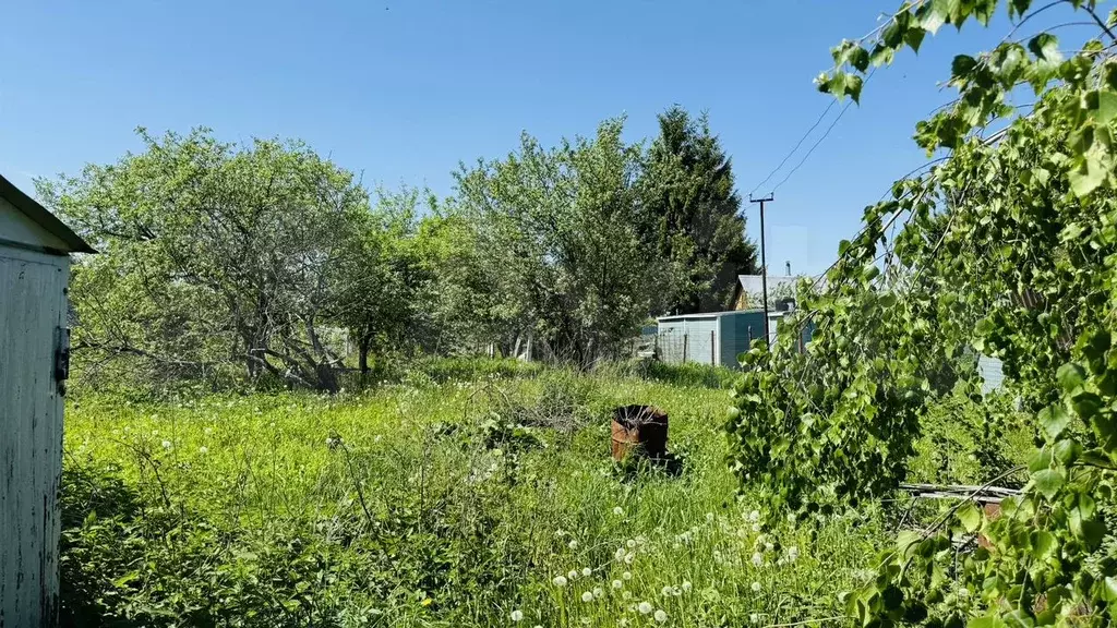Участок 10 сот. (СНТ, ДНП) - Фото 0