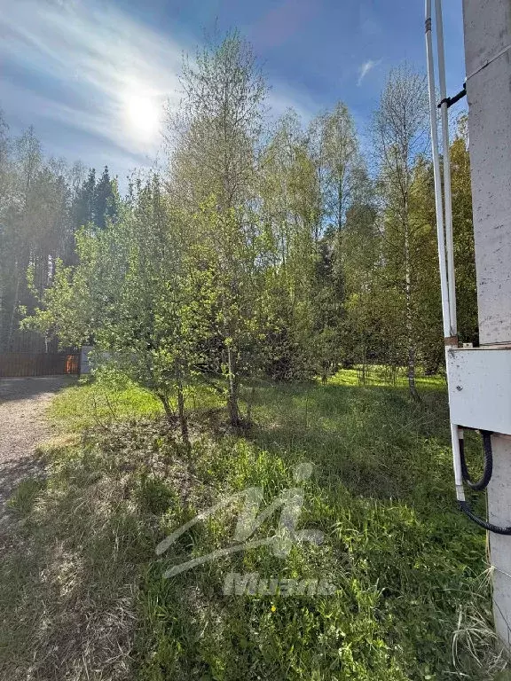 Продается участок в КП Лесные Дали - Фото 1