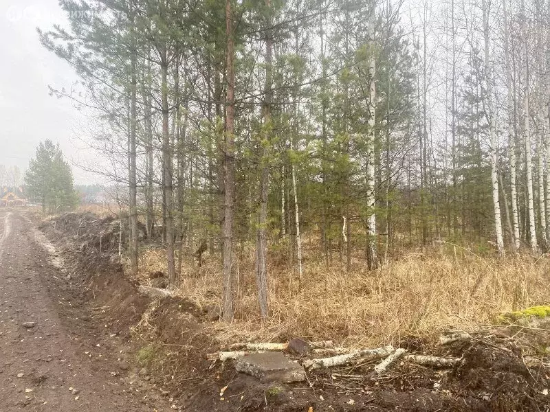 Участок в Нижнетавдинский район, село Тюнево (8 м) - Фото 0