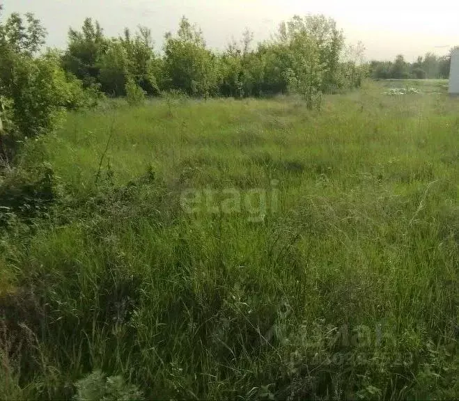 Участок в Белгородская область, Алексеевский муниципальный округ, с. ... - Фото 2