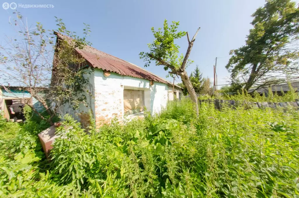 Дом в Курганская область, Шадринский муниципальный округ, село ... - Фото 0