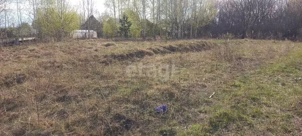Участок в Нижегородская область, городской округ Выкса, рабочий ... - Фото 1