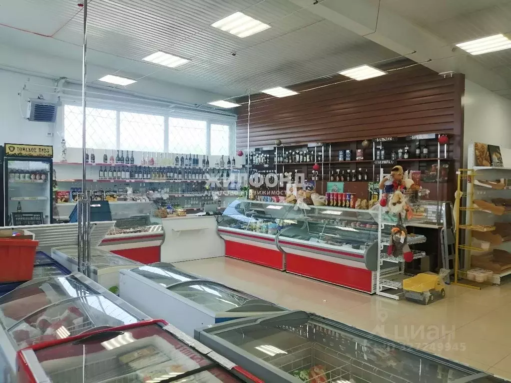 Торговая площадь в Новосибирская область, Новосибирский район, ... - Фото 1