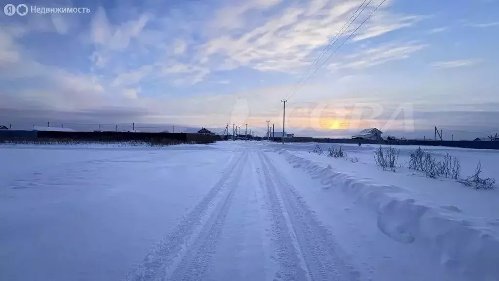 Участок в Тюменский муниципальный округ, село Борки (15 м) - Фото 1