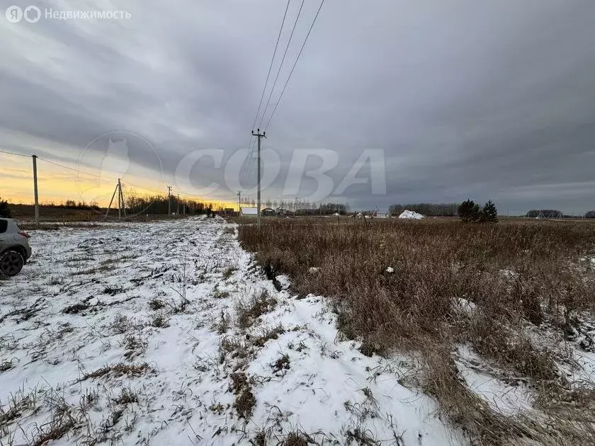 Участок в Червишевское муниципальное образование (8.4 м) - Фото 0