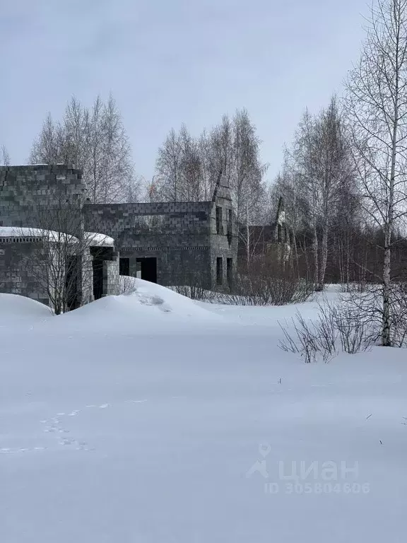 Дом в Свердловская область, Белоярский городской округ, с. Логиново ... - Фото 0