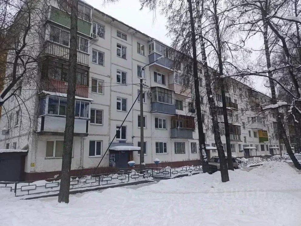 1-к кв. Московская область, Пушкино Серебрянка мкр, 20 (29.9 м) - Фото 1