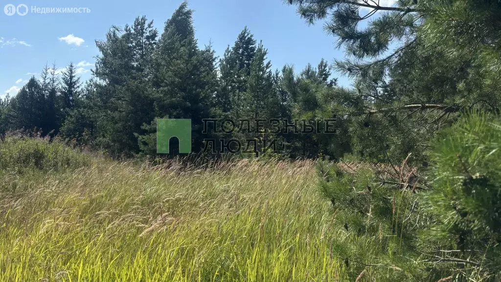 Участок в Завьяловский район, НДК Камский (45 м) - Фото 2