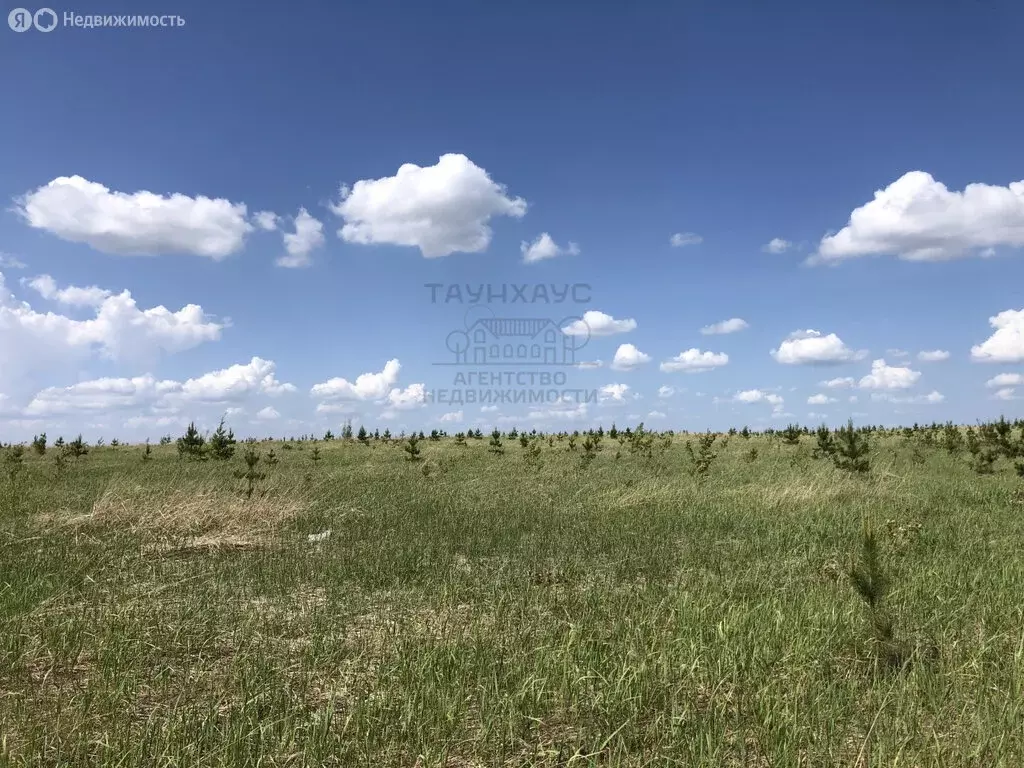 Участок в Краснокамский район, Кариевский сельсовет, деревня Кутлинка ... - Фото 2