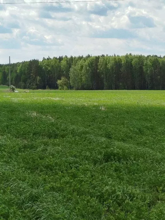 Участок в Свердловская область, Белоярский муниципальный округ  (880.0 ... - Фото 0