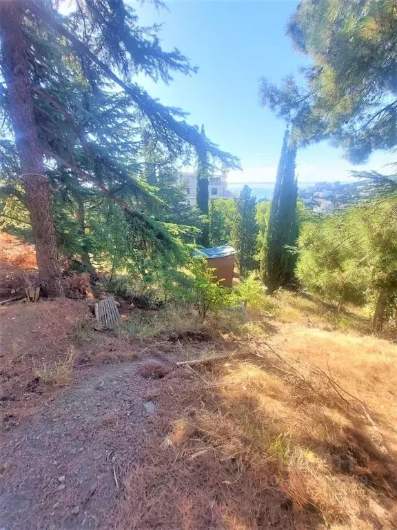 Участок в Крым, Ялта ул. Войкова, 26 (9.0 сот.) - Фото 1