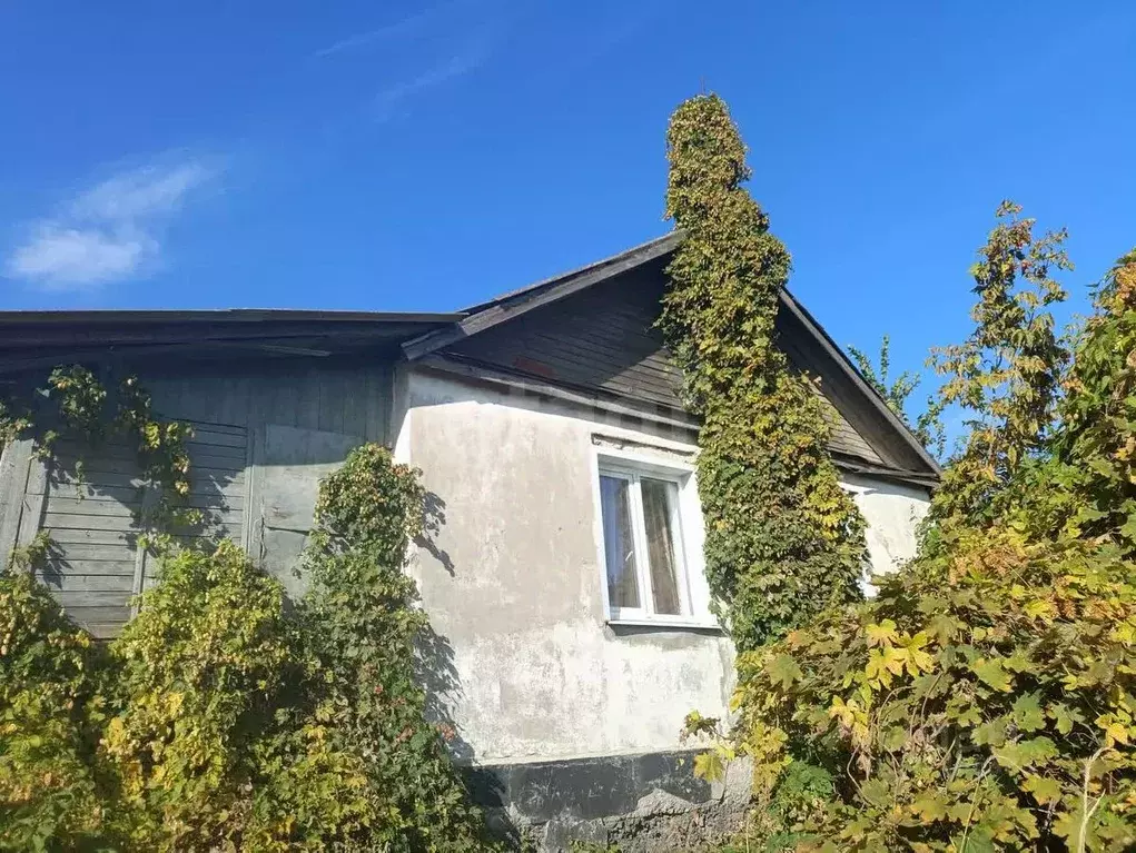 Дом в Белгородская область, Вейделевский район, пос. Викторополь ул. ... - Фото 1