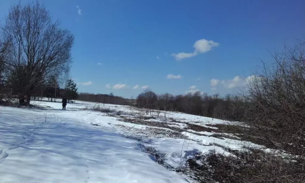 Участок в Московская область, Волоколамский муниципальный округ, д. ... - Фото 2