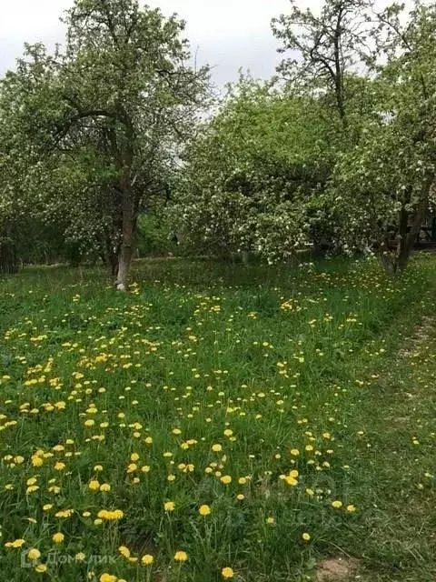 Участок в Смоленская область, Смоленский муниципальный округ, д. ... - Фото 0
