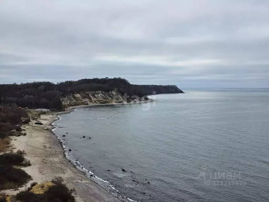 Участок в Калининградская область, Светлогорский городской округ, пос. ... - Фото 1