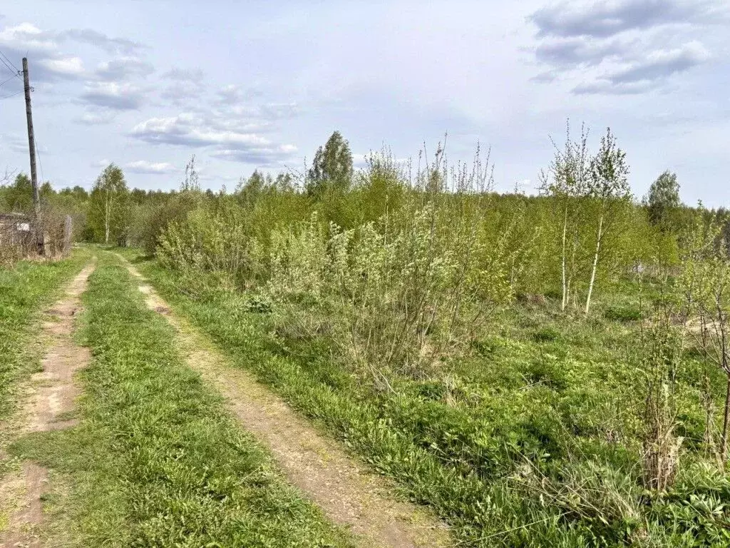 Участок в Владимирская область, Камешковский район, Второвское ... - Фото 1