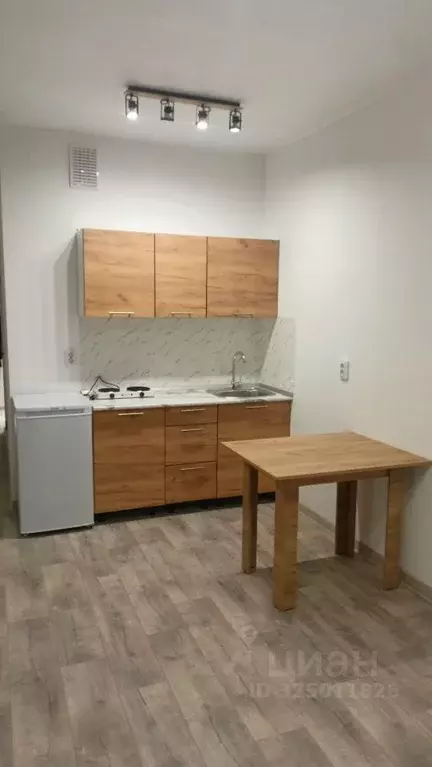 Студия Свердловская область, Екатеринбург ул. Лодыгина, 15А (27.0 м) - Фото 1