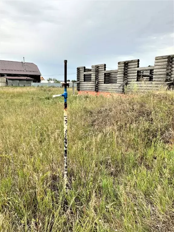 Участок в Омская область, Омский район, с. Дружино, Микрорайон ... - Фото 2