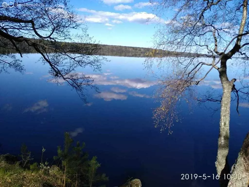 Участок в Выборгский район, Приморское городское поселение, посёлок ... - Фото 2