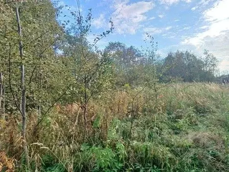 Участок в Московская область, Сергиево-Посадский городской округ, с. ... - Фото 2