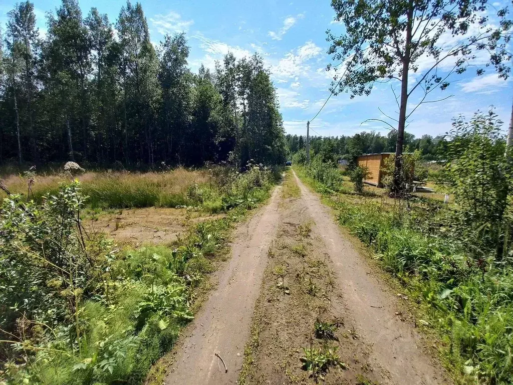Участок в Ленинградская область, Кировский район, Мгинское городское ... - Фото 1