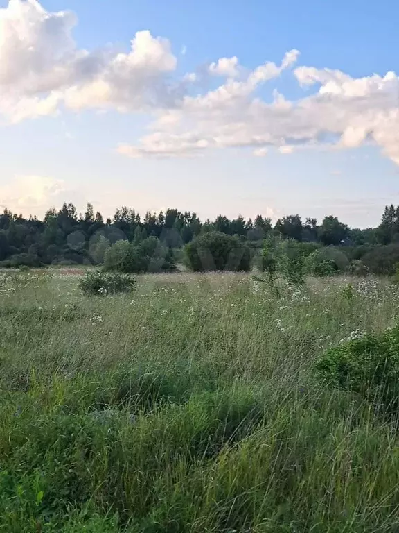 Участок 30 сот. (ИЖС) - Фото 0