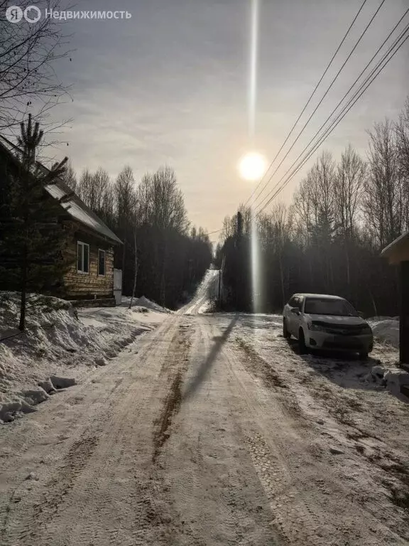 Участок в Иркутский муниципальный округ, ДНТ Мечта, Вербная улица (10 ... - Фото 2