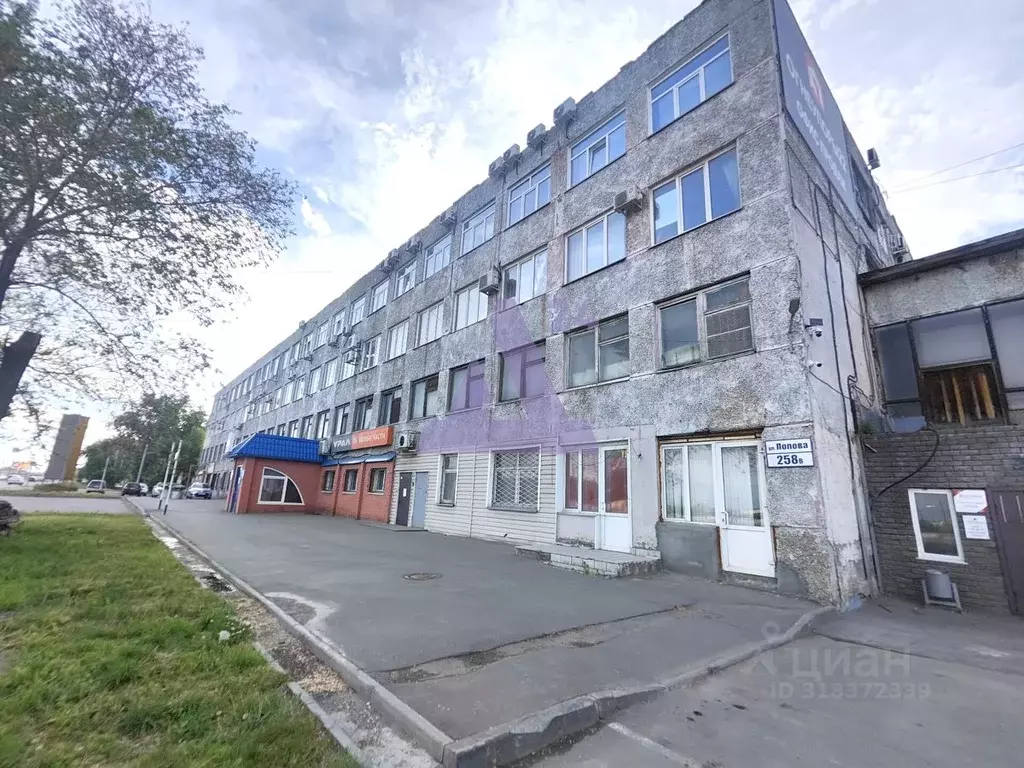 Офис в Алтайский край, Барнаул ул. Попова, 258В (60 м) - Фото 1