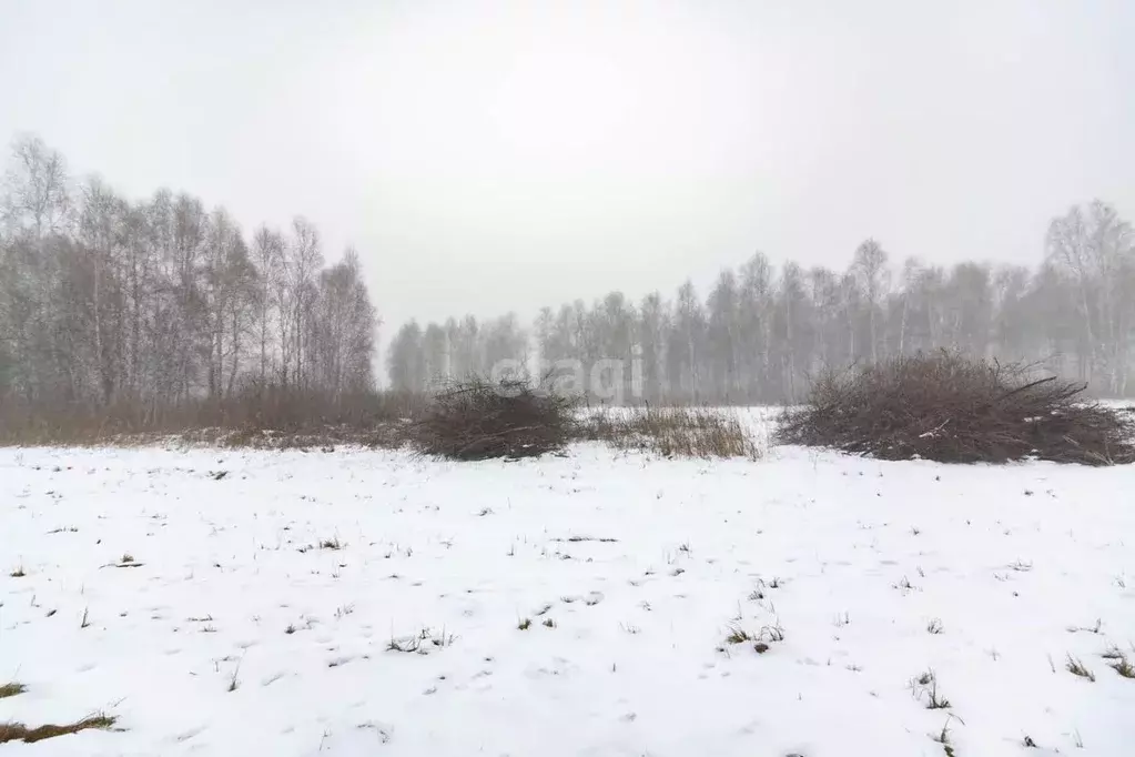 Участок в Тюменская область, Тюмень  (20.0 сот.) - Фото 0